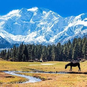 Meet your Posher, Sohail